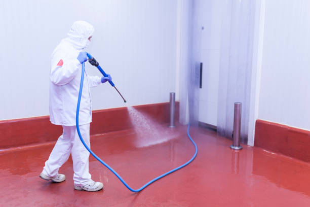 Best Rust Removal  in San Antonio, FL