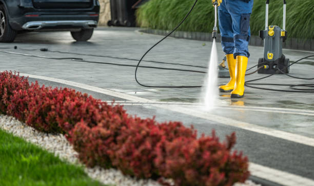 Trusted San Antonio, FL Pressure Washing Services Experts